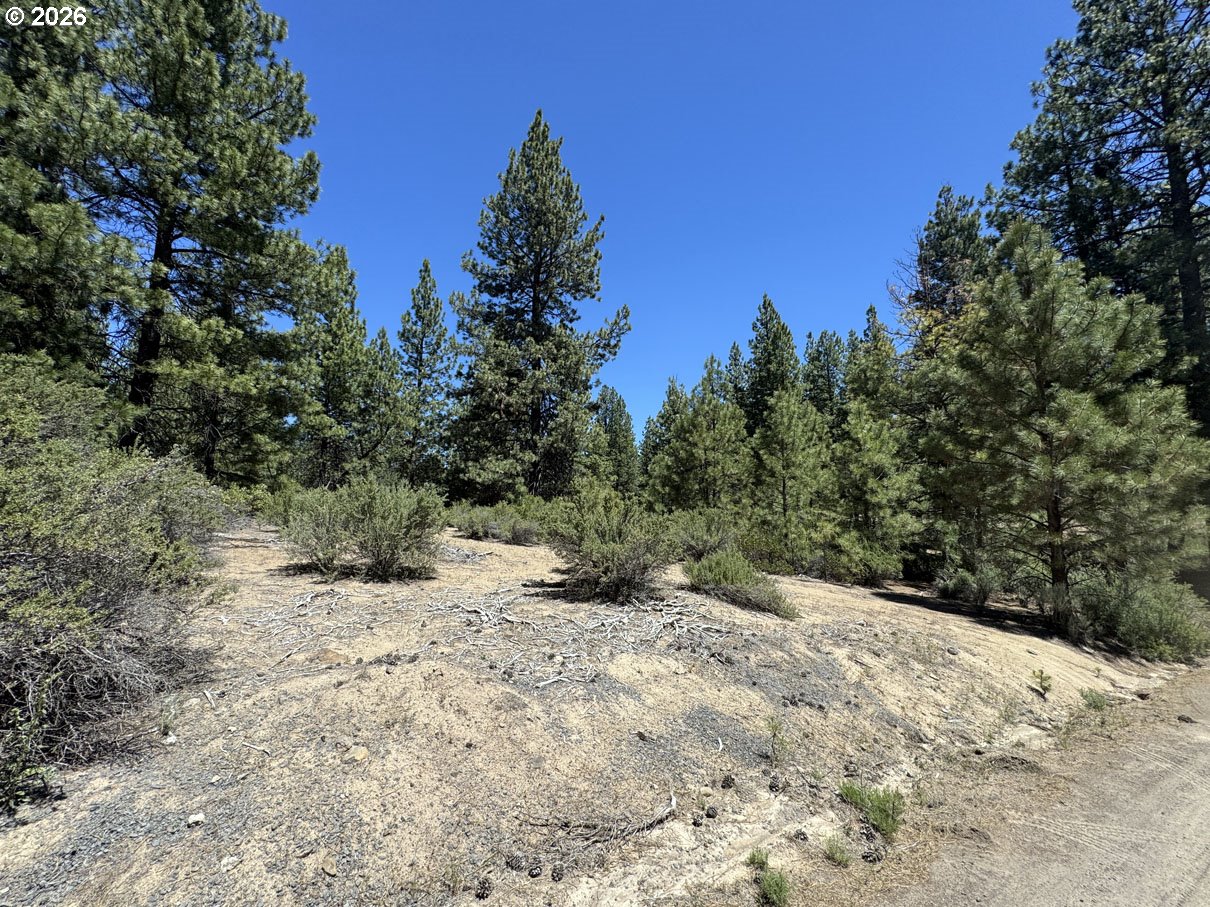 Friendship Drive, Unit 15 Chiloquin, OR 97624 - Photo 5 of 41