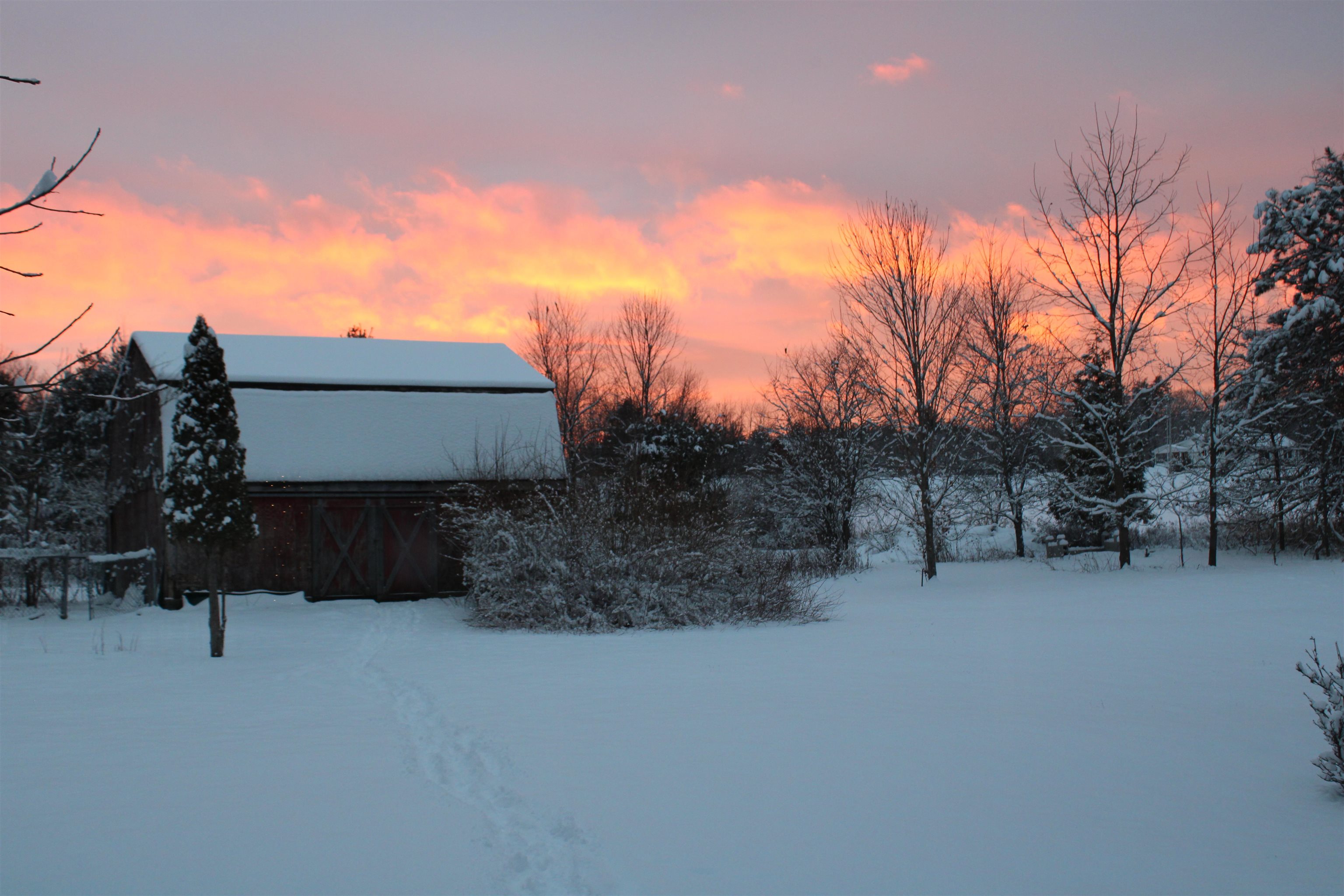 581 South Barnstead Road Barnstead, NH 03225 - Photo 36 of 42