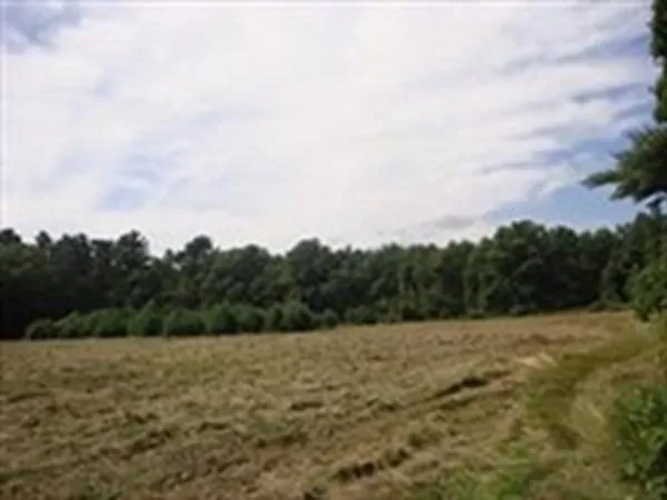 a view of a field with trees in the background