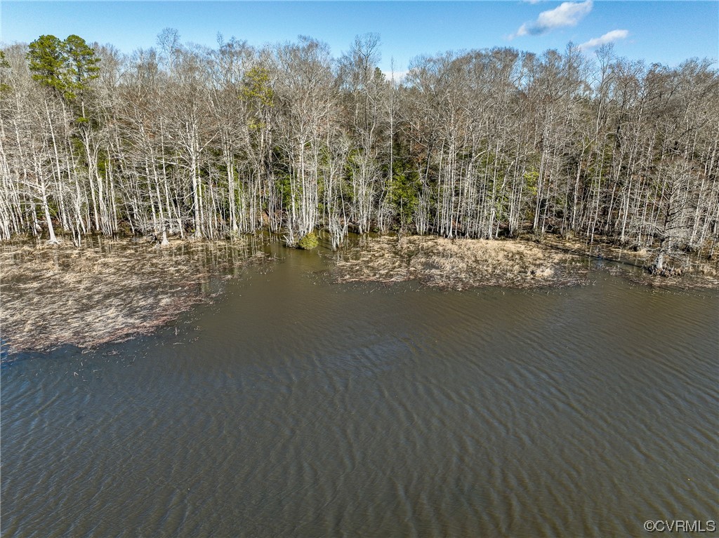 4 Carter Road Lanexa, VA 23089 - Photo 1 of 24 Shoreline of the 25 Ac Water front Lot