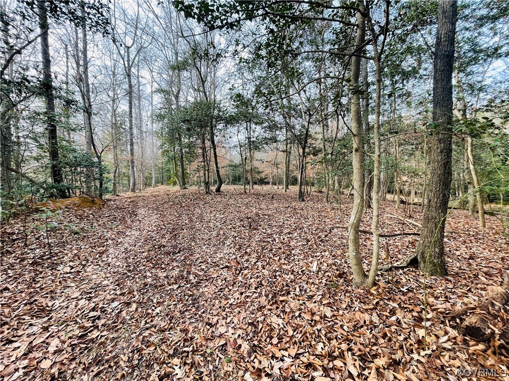 4 Carter Road Lanexa, VA 23089 - Photo 15 of 24 Another Path