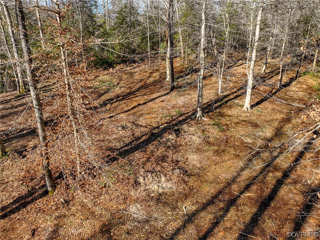 4 Carter Road Lanexa, VA 23089 - Photo 17 of 24 Gallery Image 17