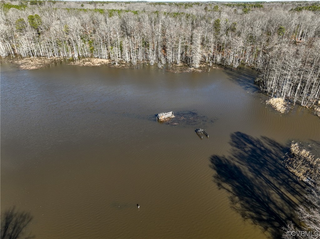 4 Carter Road Lanexa, VA 23089 - Photo 2 of 24 Tyree Gut Water frontage