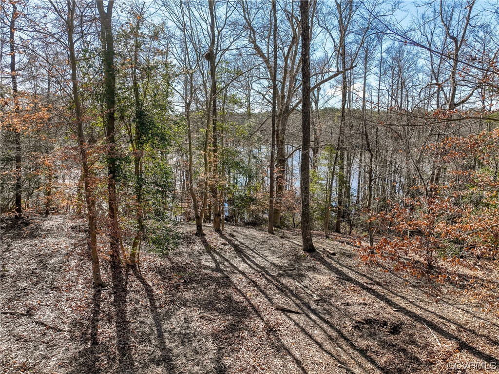 4 Carter Road Lanexa, VA 23089 - Photo 5 of 24 One Potential Water Front Homesite