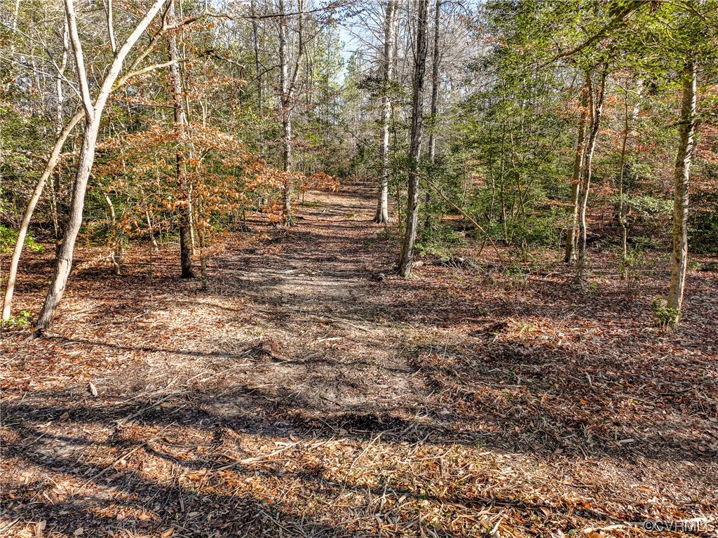 4 Carter Road Lanexa, VA 23089 - Photo 7 of 24 Nice Wide Paths throughout the Parcel along the Wa