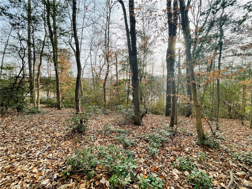 4 Carter Road Lanexa, VA 23089 - Photo 8 of 24 Gallery Image 8