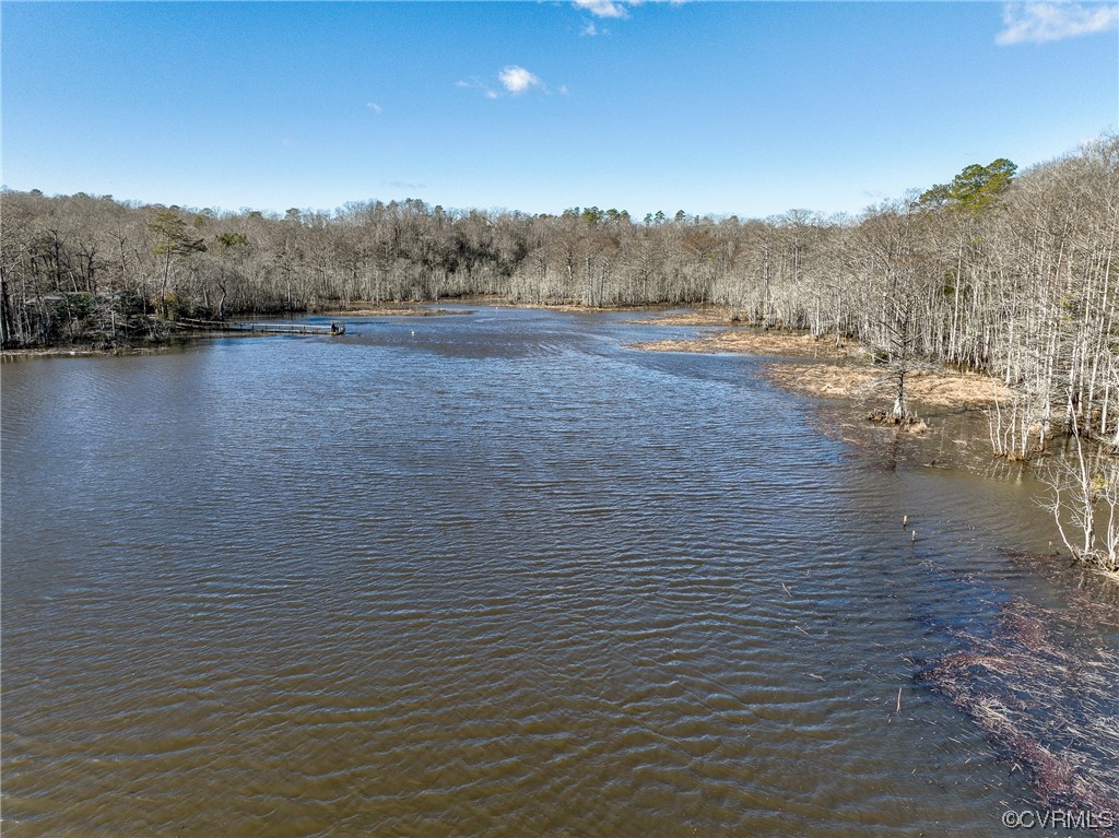 4 Carter Road Lanexa, VA 23089 - Photo 9 of 24 View to the Back of Tyree Gut. 25 AC Water Front
