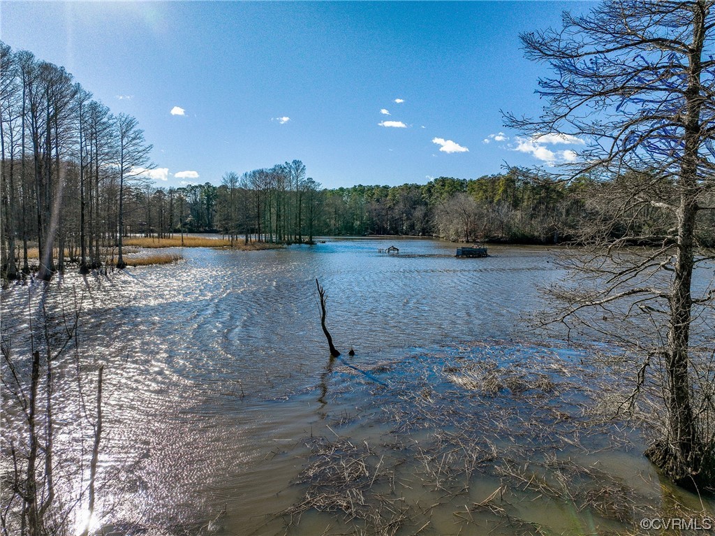 4 Carter Road Lanexa, VA 23089 - Photo 10 of 24 Peaceful Breezes with Abundant Waterfowl Sightings