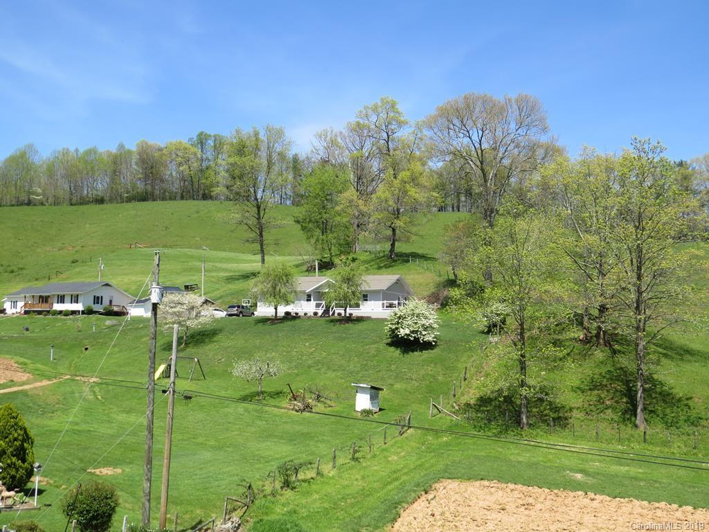 413 Short Branch Road Green Mountain, NC 28740 - Photo 3 of 33 Gallery Image 3
