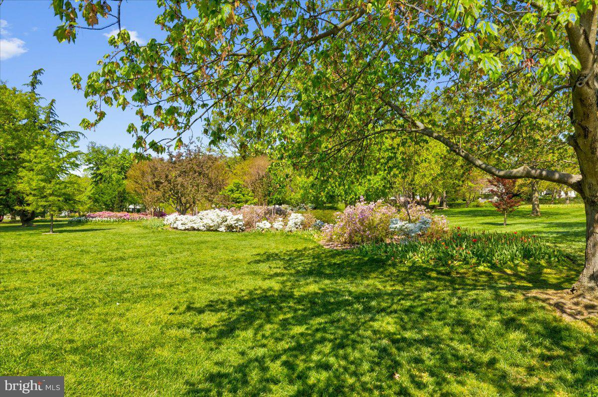 311 Wendover Road Baltimore, MD 21212 - Photo 45 of 46