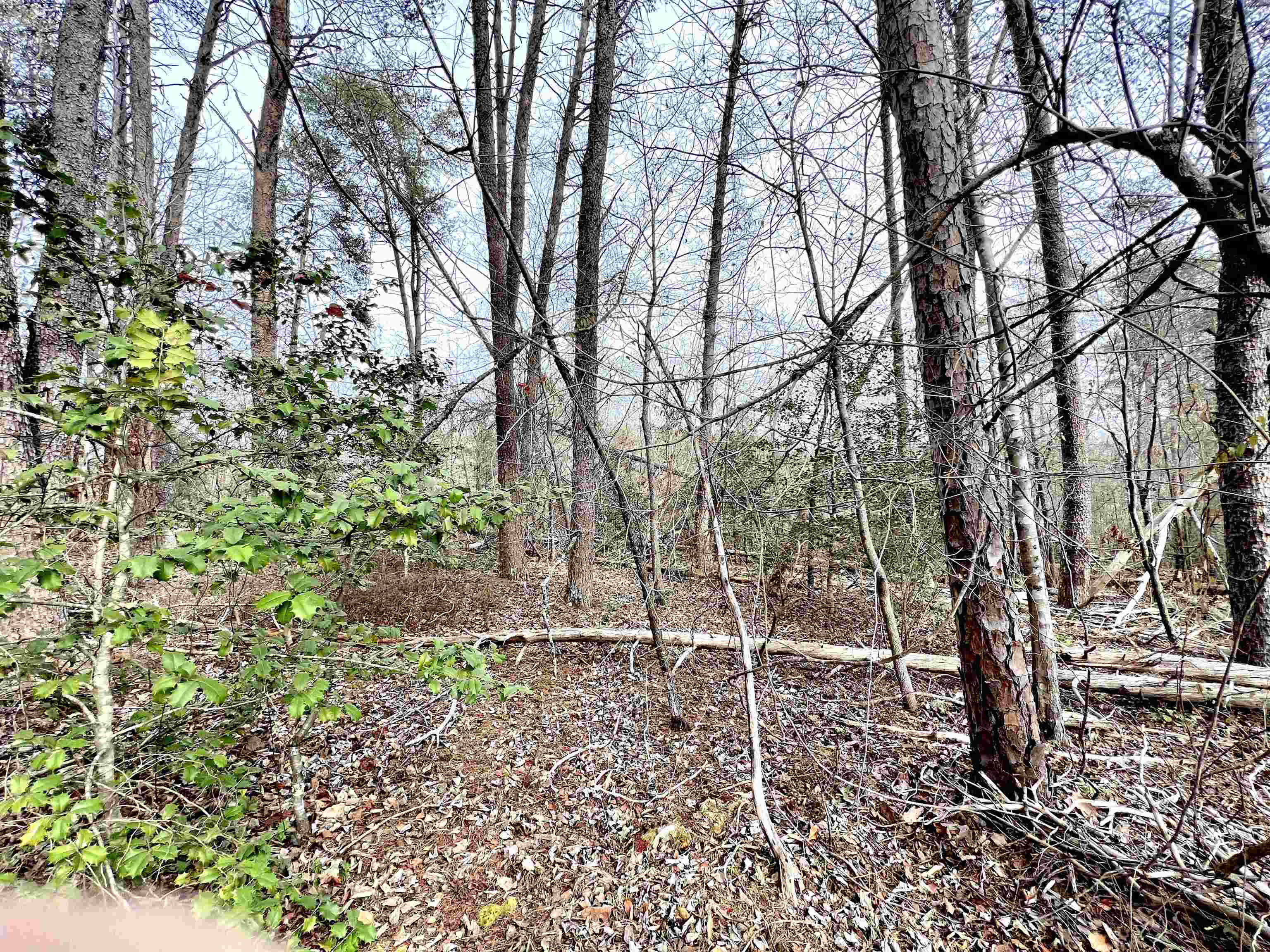 131 Timberlake Drive Inman, SC 29349 - Photo 13 of 20