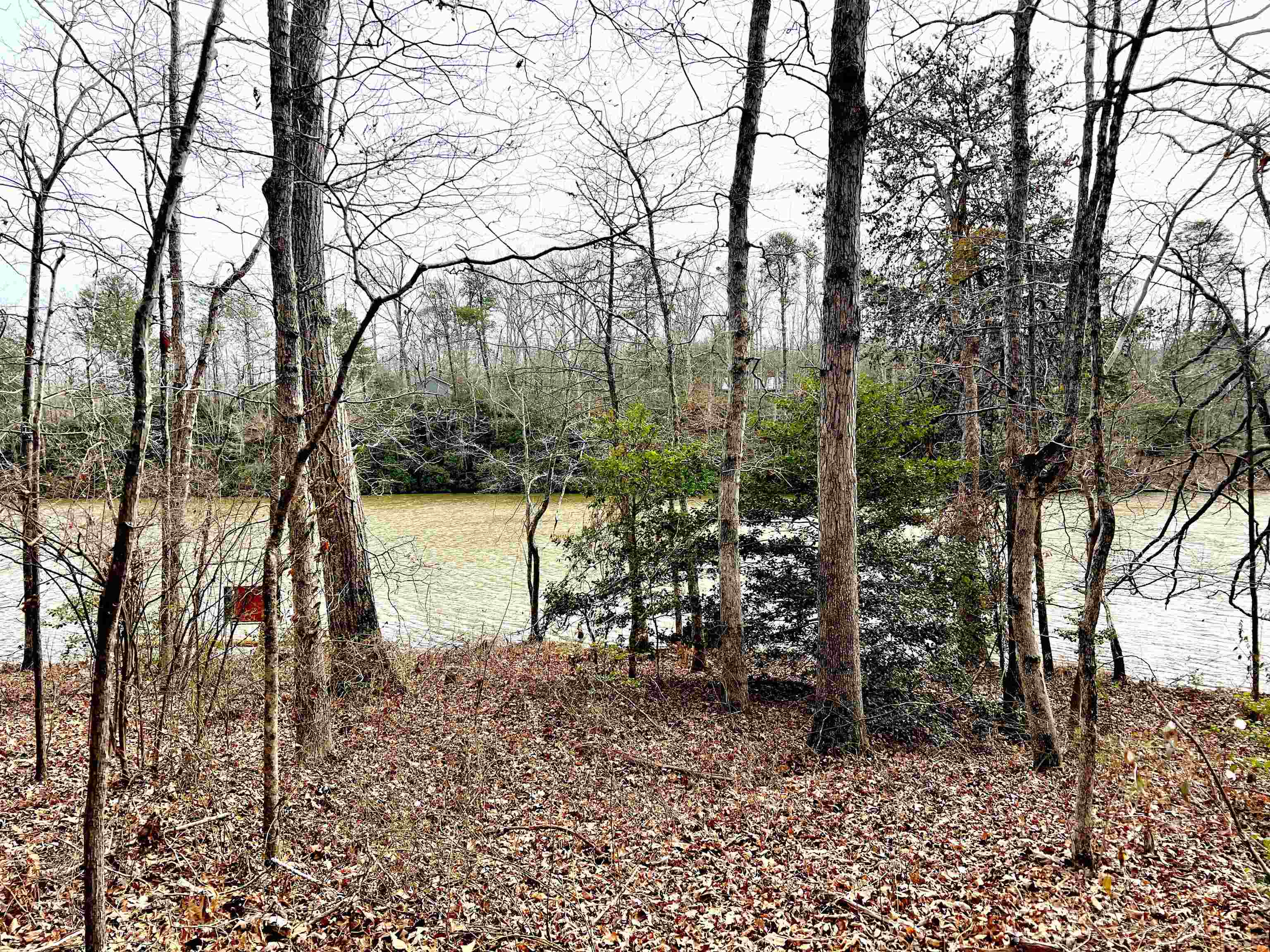 131 Timberlake Drive Inman, SC 29349 - Photo 4 of 20