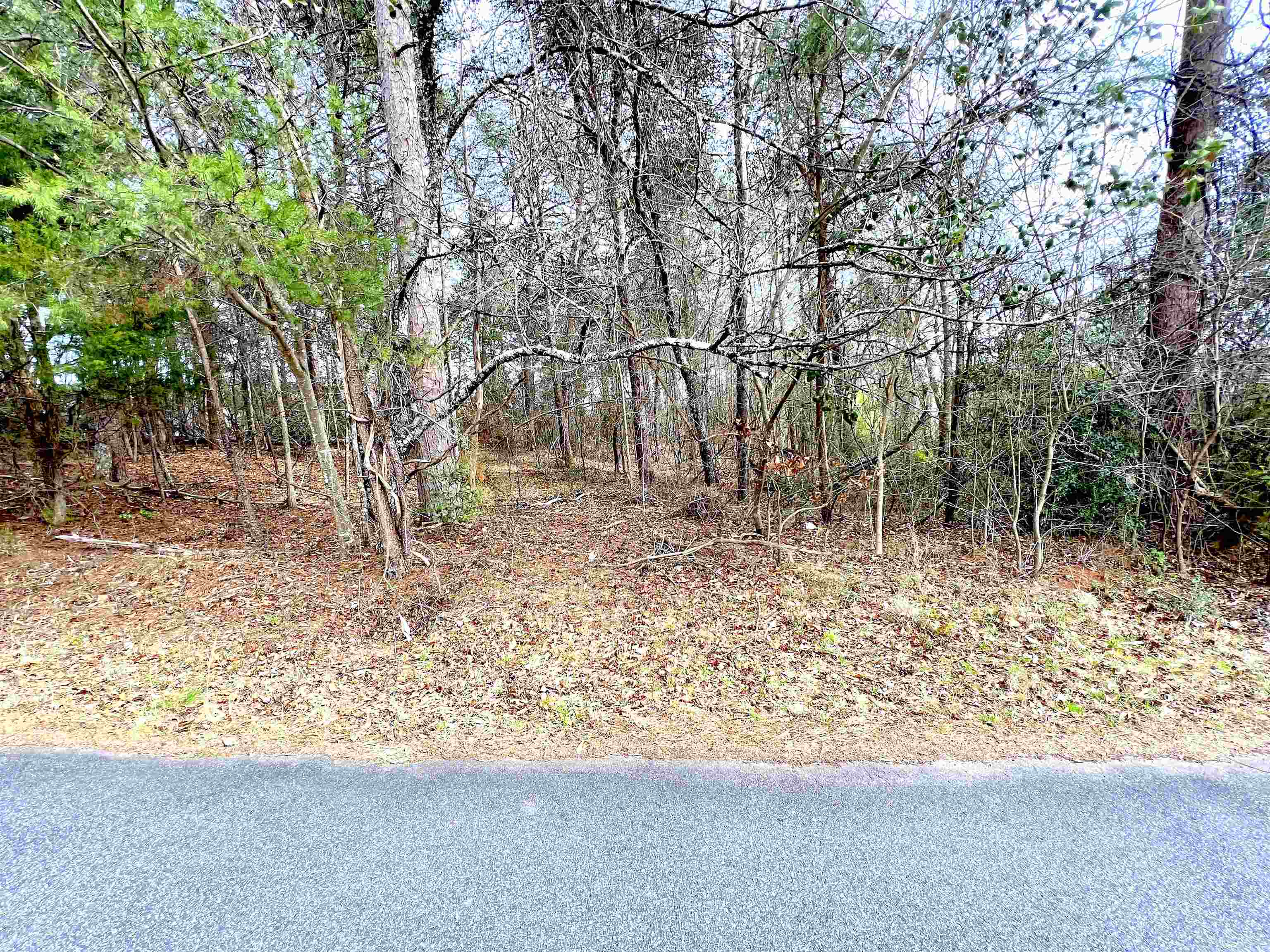 131 Timberlake Drive Inman, SC 29349 - Photo 5 of 20