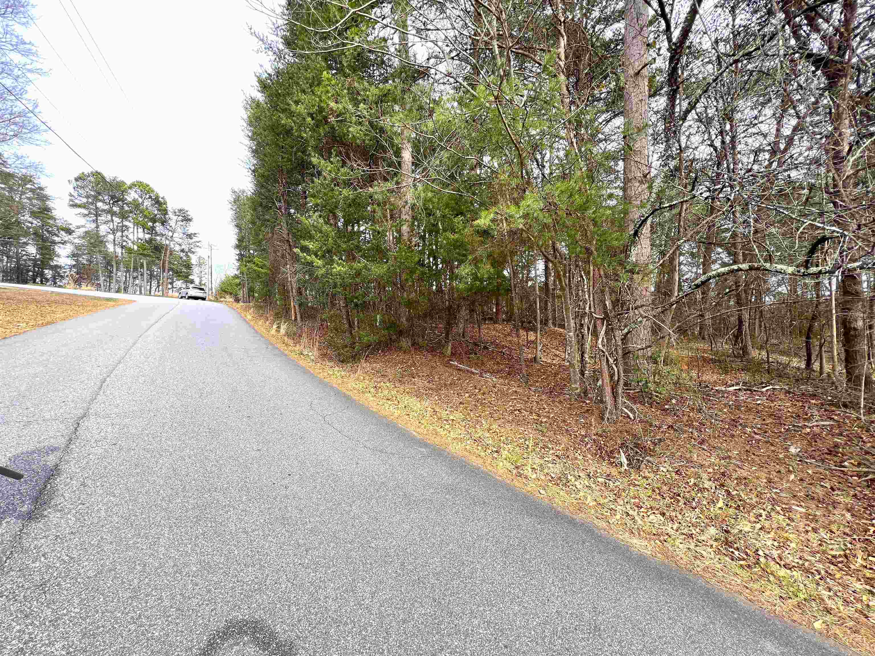 131 Timberlake Drive Inman, SC 29349 - Photo 6 of 20