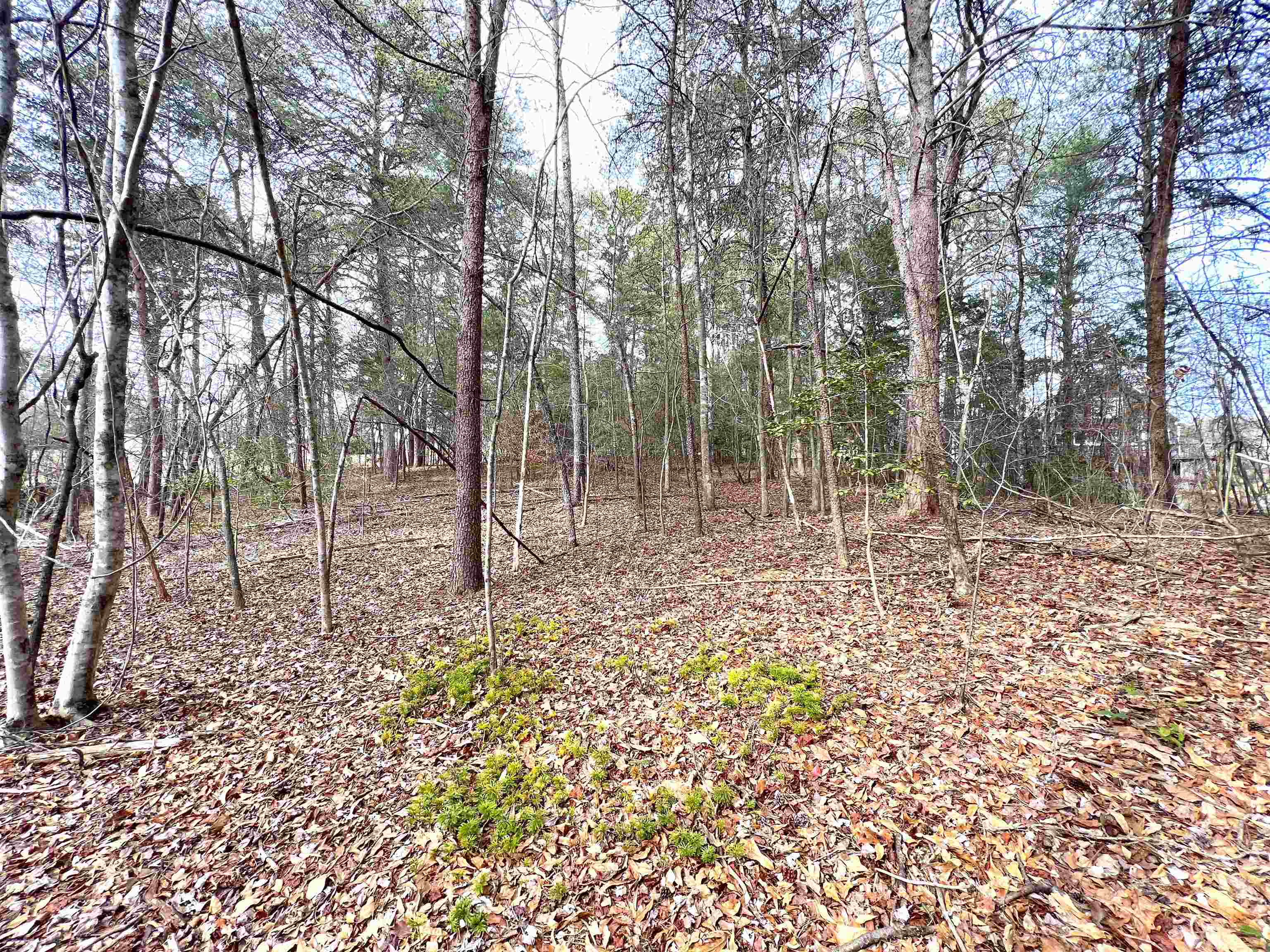 131 Timberlake Drive Inman, SC 29349 - Photo 8 of 20