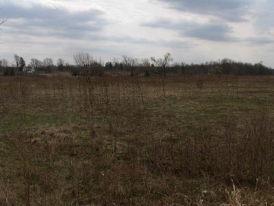 Jonesville Road Coldwater, MI 49036 - Photo 1 of 1 Primary Photo