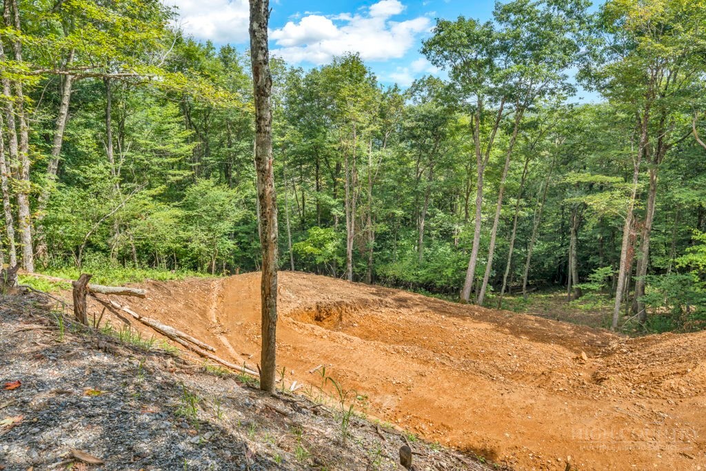 Saddle Road Vilas, NC 28692 - Photo 15 of 34 Gallery Image 15