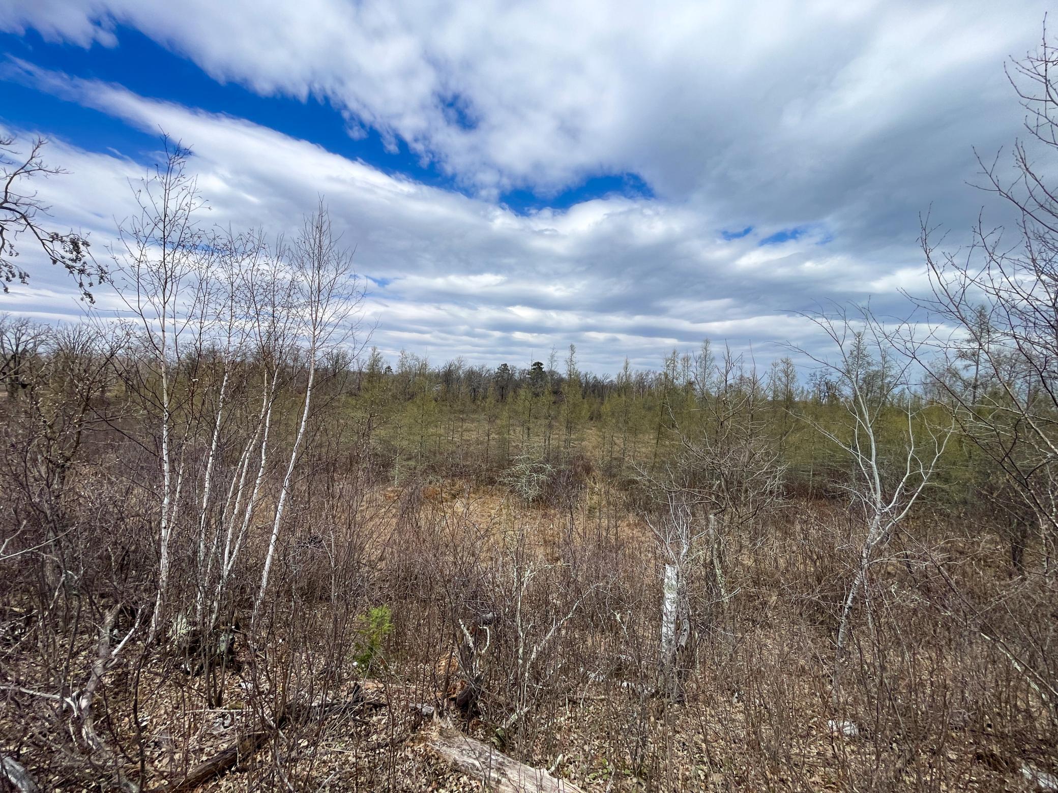 Tbd1 Boot Lake Road Southwest Bemidji, MN 56601 - Photo 22 of 41