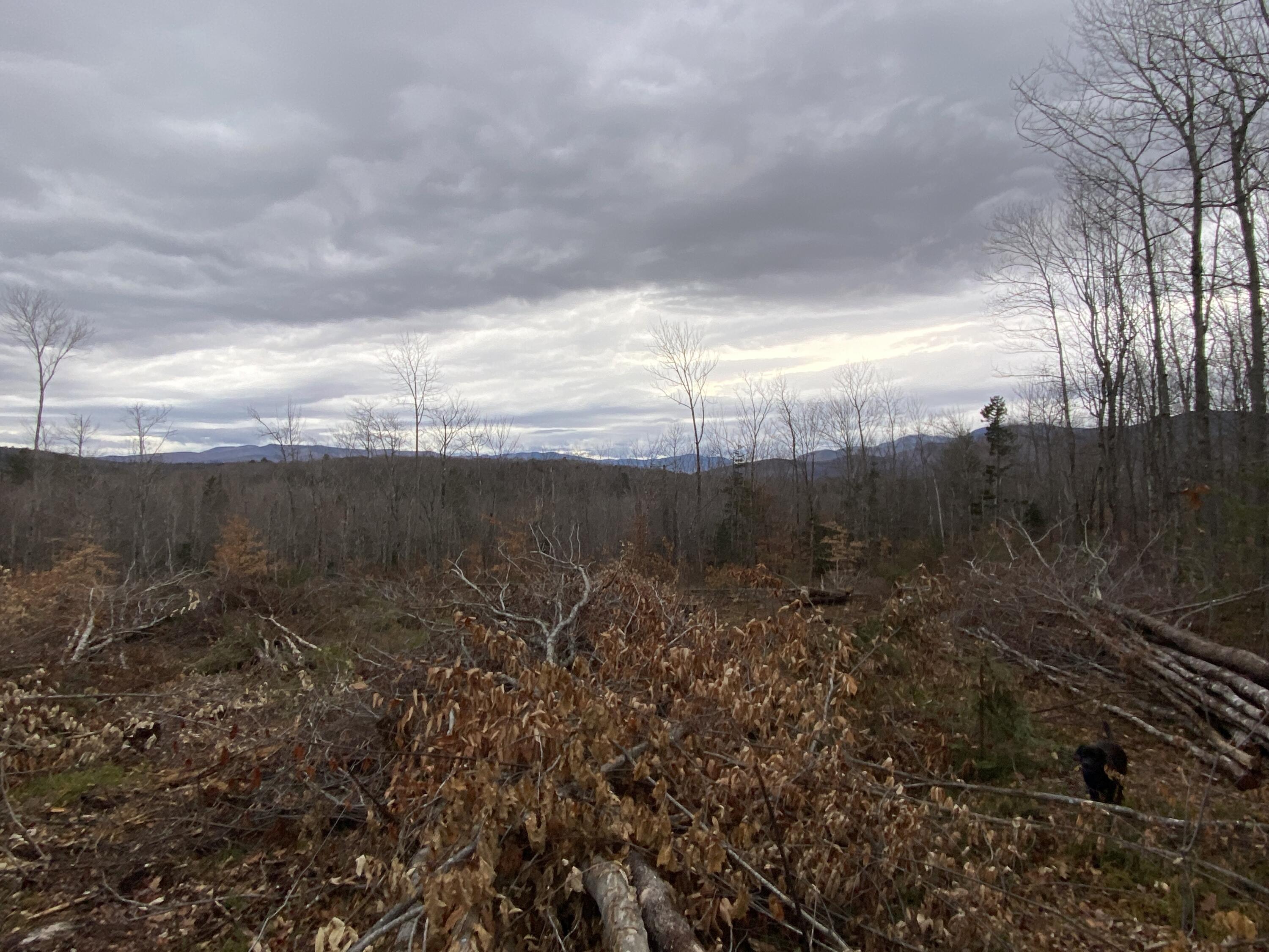 121 Brown Neighborhood Road Weld, ME 04285 - Photo 6 of 8 Photo Nov 22, 3 13 05 PM