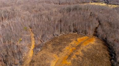 0 Whiteoak Road Stewart, TN 37175 - Photo 13 of 28 a view of a yard