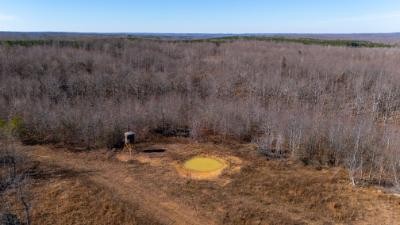 0 Whiteoak Road Stewart, TN 37175 - Photo 17 of 28 a view of a backyard