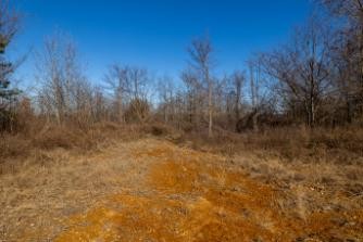 0 Whiteoak Road Stewart, TN 37175 - Photo 2 of 28 a view of a yard