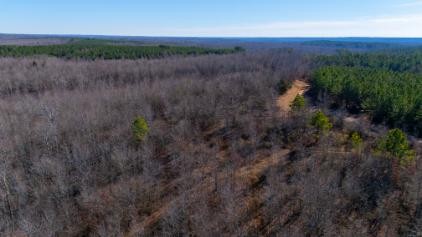 0 Whiteoak Road Stewart, TN 37175 - Photo 24 of 28 a view of a lake in middle of forest