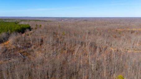 0 Whiteoak Road Stewart, TN 37175 - Photo 25 of 28 a view of a lake with a city
