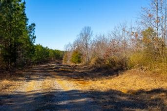 0 Whiteoak Road Stewart, TN 37175 - Photo 5 of 28 a view of a yard