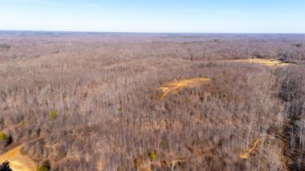0 Whiteoak Road Stewart, TN 37175 - Photo 7 of 28 a view of a dry yard with trees