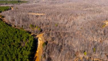 0 Whiteoak Road Stewart, TN 37175 - Photo 8 of 28 a view of a lush green field