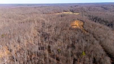 0 Whiteoak Road Stewart, TN 37175 - Photo 10 of 28 a view of a dry yard