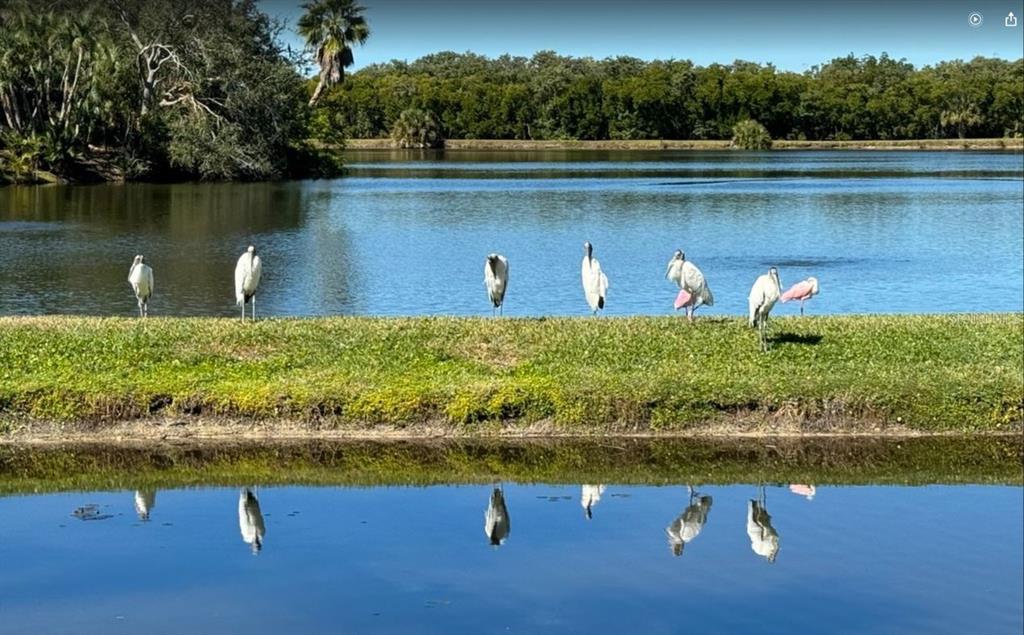 6499 99th Way North, Unit 18B St. Petersburg, FL 33708 - Photo 88 of 98