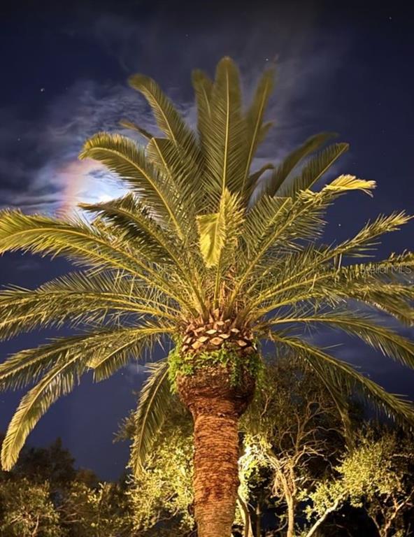 6499 99th Way North, Unit 18B St. Petersburg, FL 33708 - Photo 89 of 98