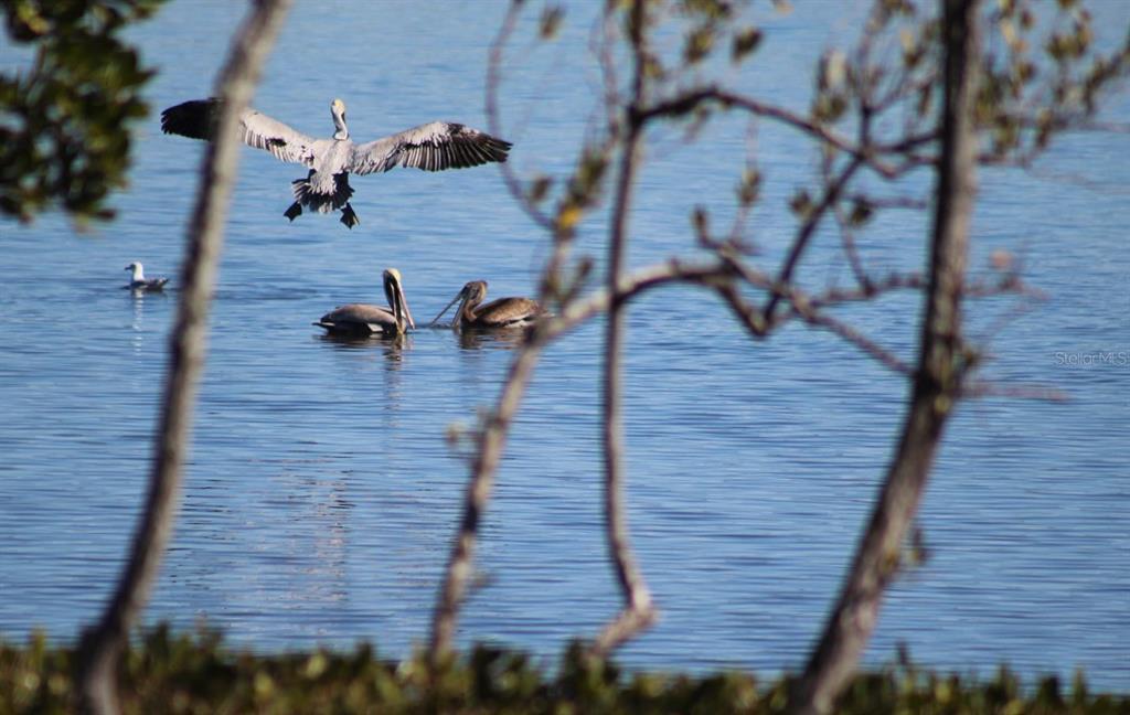 6499 99th Way North, Unit 18B St. Petersburg, FL 33708 - Photo 90 of 98