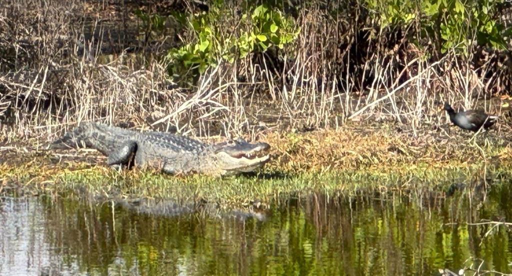 6499 99th Way North, Unit 18B St. Petersburg, FL 33708 - Photo 91 of 98