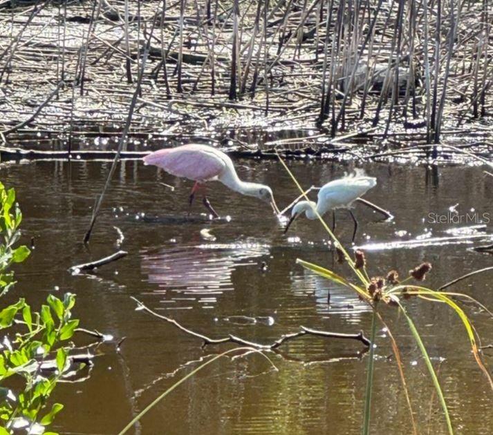 6499 99th Way North, Unit 18B St. Petersburg, FL 33708 - Photo 92 of 98