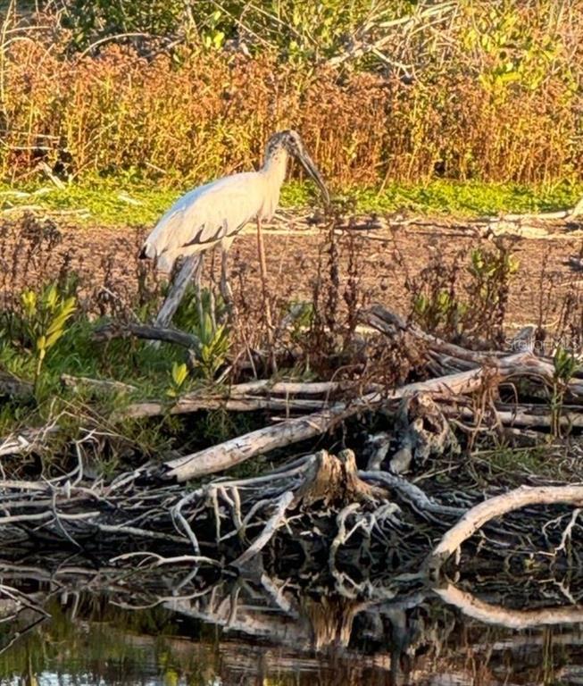 6499 99th Way North, Unit 18B St. Petersburg, FL 33708 - Photo 93 of 98