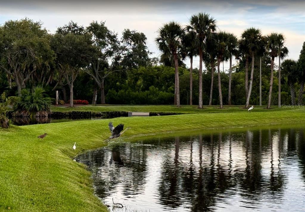 6499 99th Way North, Unit 18B St. Petersburg, FL 33708 - Photo 94 of 98