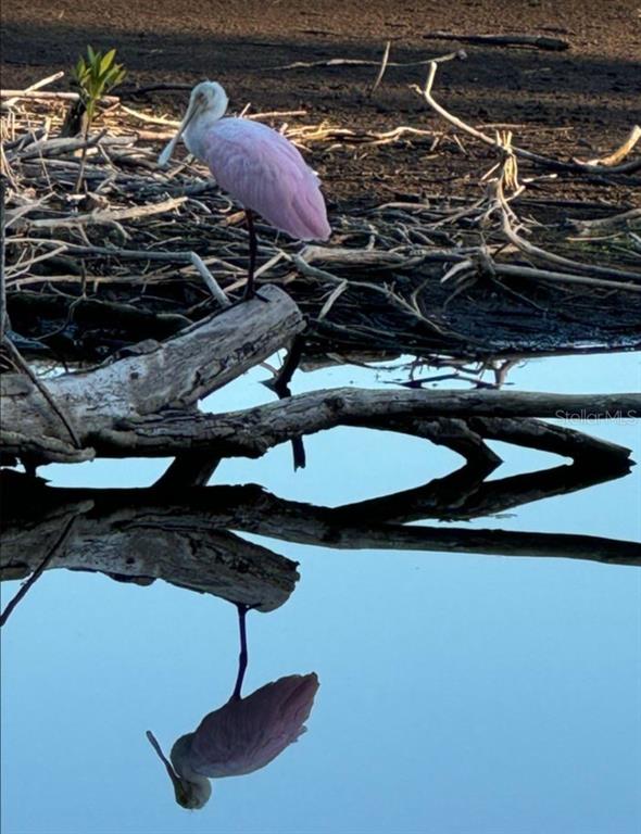 6499 99th Way North, Unit 18B St. Petersburg, FL 33708 - Photo 95 of 98