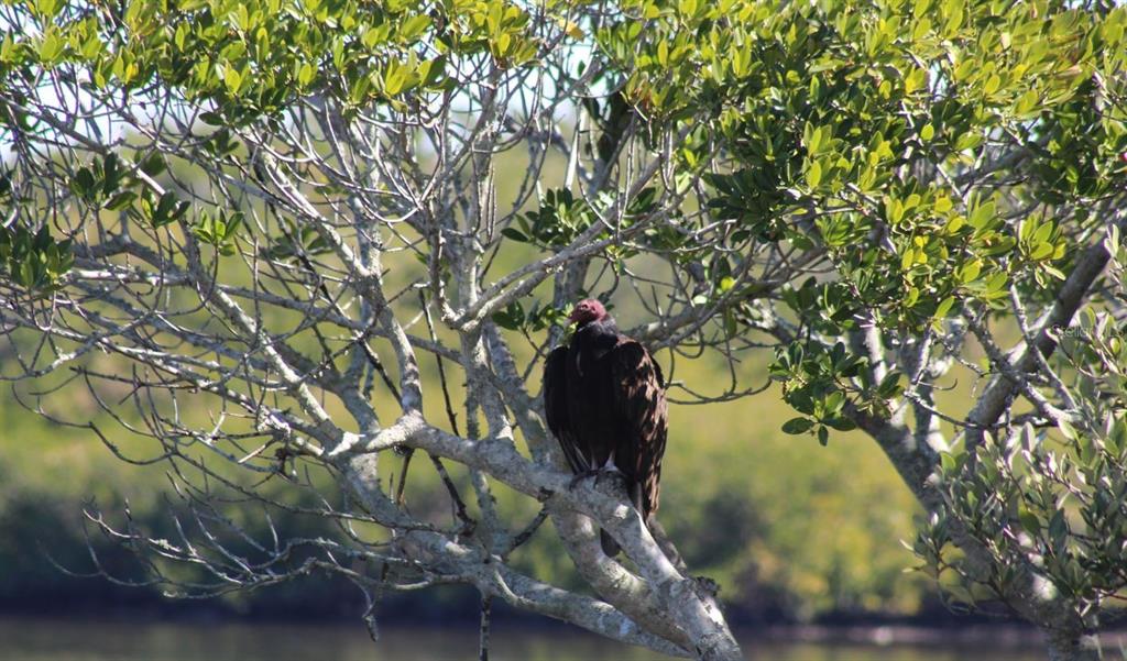 6499 99th Way North, Unit 18B St. Petersburg, FL 33708 - Photo 98 of 98