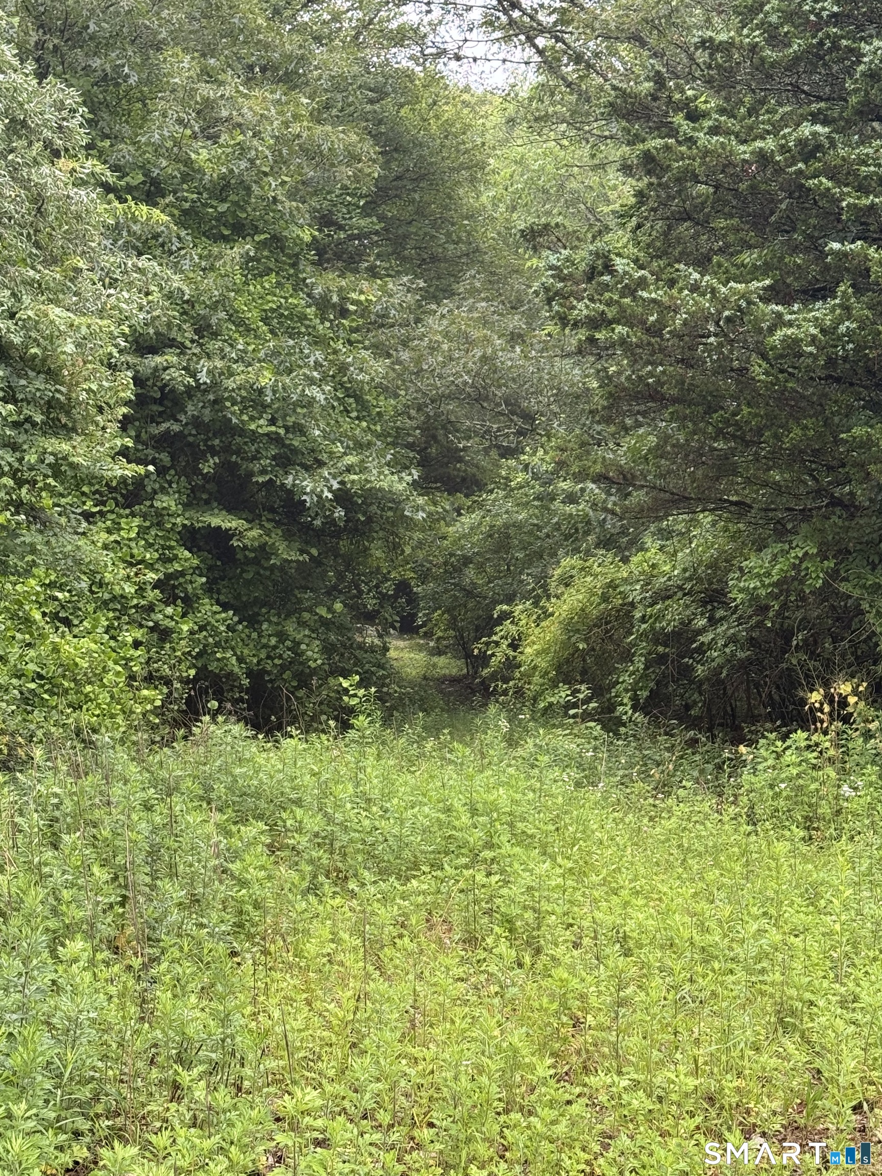 811 Stonington Road Stonington, CT 06379 - Photo 9 of 9