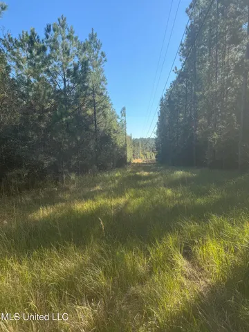 $435,000 | 0 East 528th Road, Kiln, MS 39556
