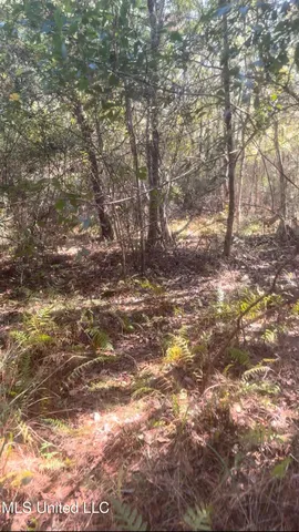 $435,000 | 0 East 528th Road, Kiln, MS 39556