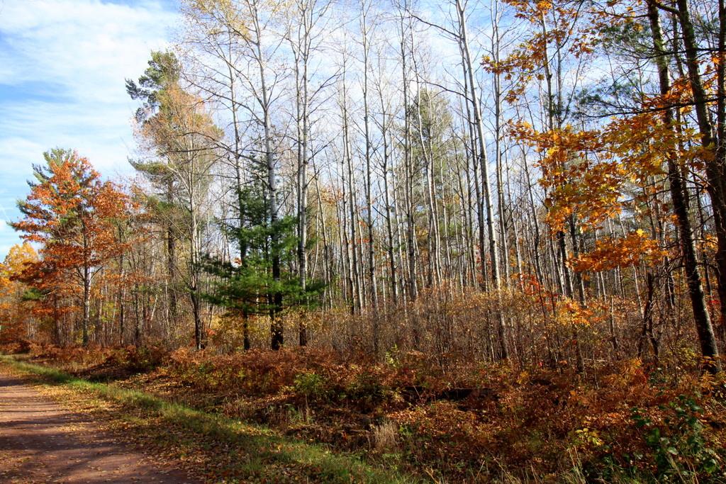 On Dark Corner Road, Unit 26 64 AC Marengo, WI 54855 - Photo 5 of 11 Gallery Image 5