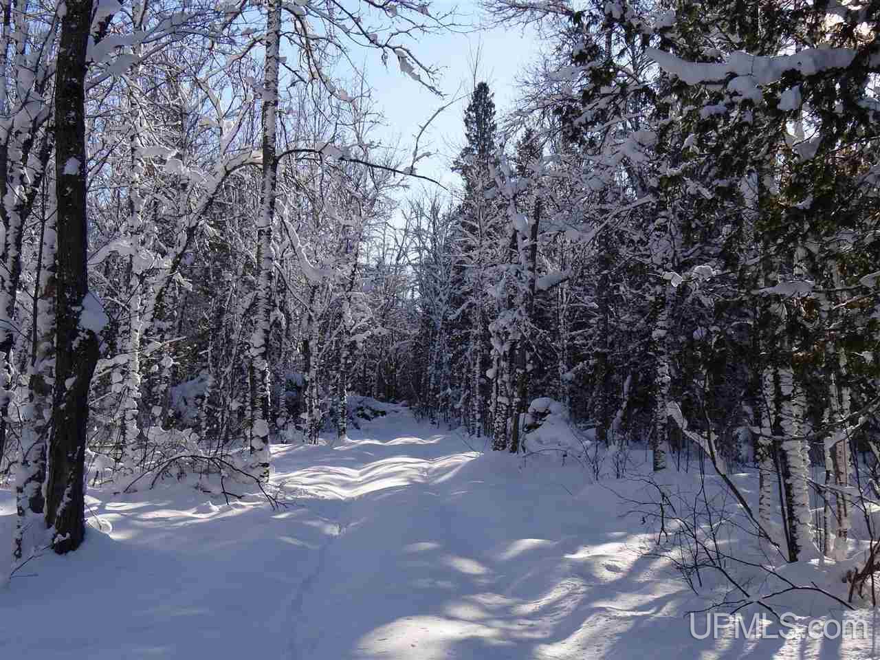 Tbd Irwin Road Baraga, MI 49908 - Photo 12 of 27