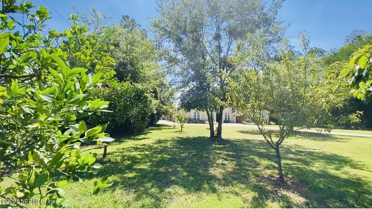 1356 Roberts Road Jacksonville, FL 32259 - Photo 6 of 86 FRUIT TREES