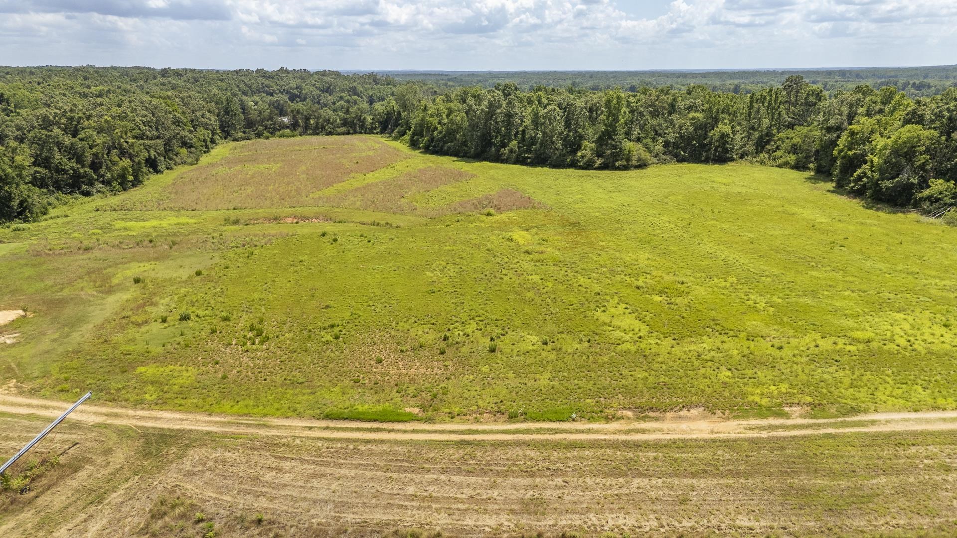 10157 Clifton Road Savannah, TN 38372 - Photo 17 of 40