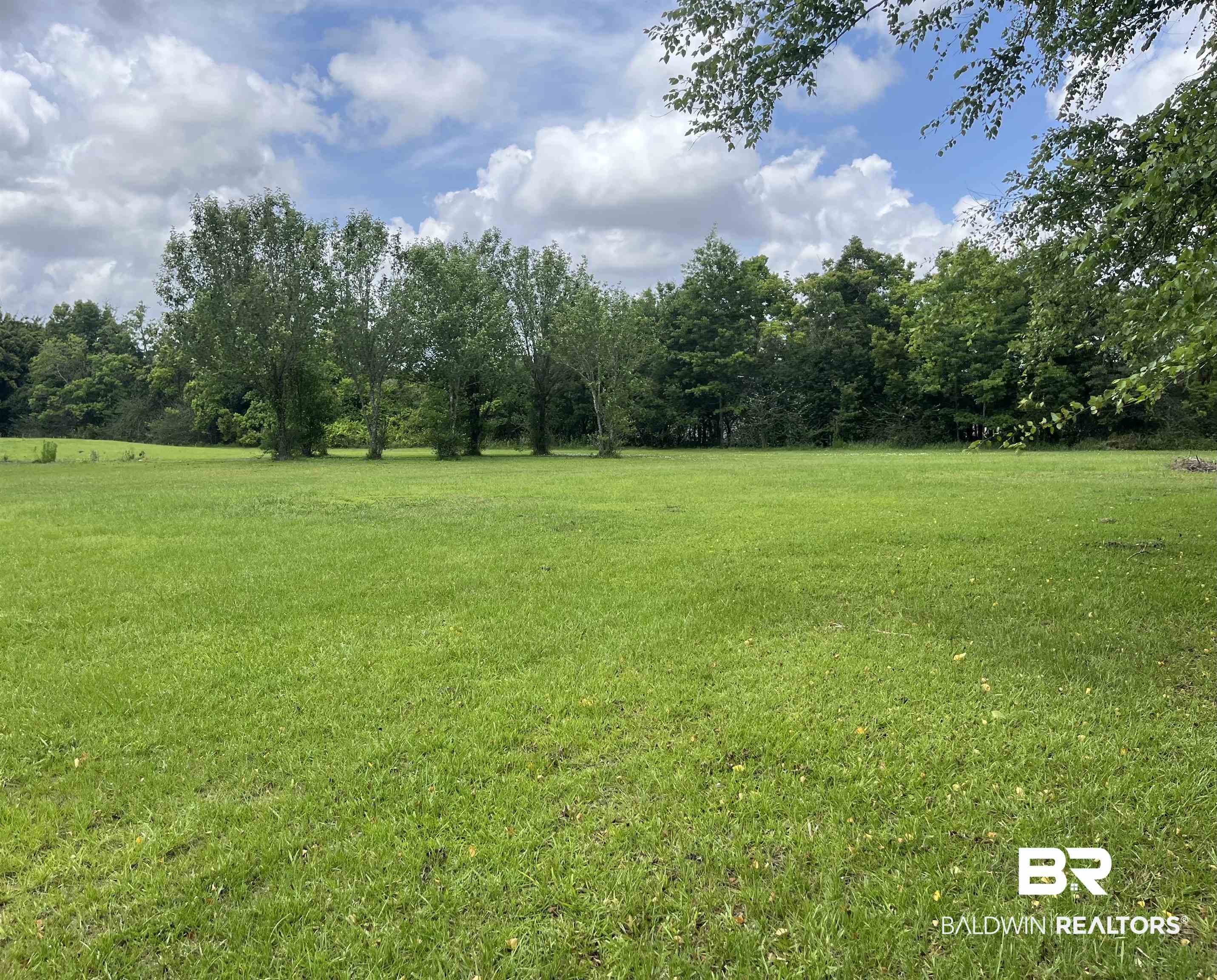 25115 County Road 71 Robertsdale, AL 36567 - Photo 2 of 17