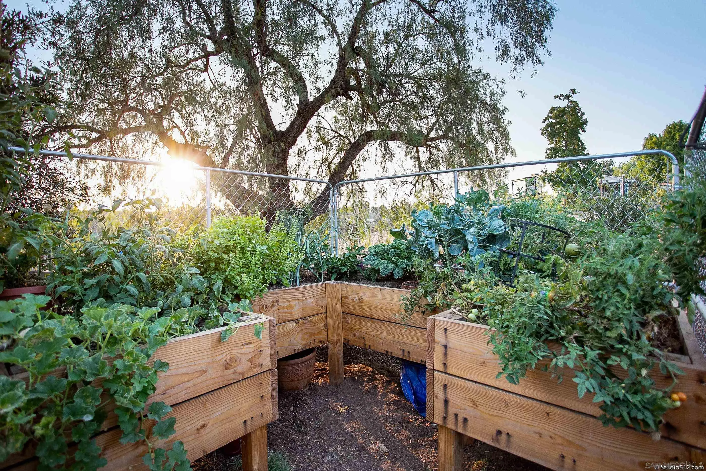 31151 Lilac Road Valley Center, CA 92082 - Photo 25 of 25 an outdoor space with lots of trees